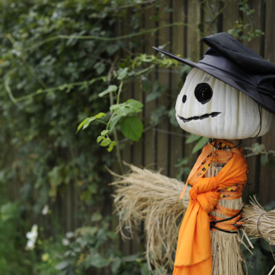 Halloween Lore and Spooky Superstitions